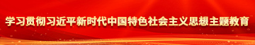 日b视频网站学习贯彻习近平新时代中国特色社会主义思想主题教育